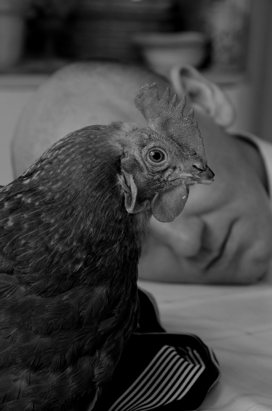 Zwykli Oni, Weroniak Stencel | warsztaty-fotograficzne.org