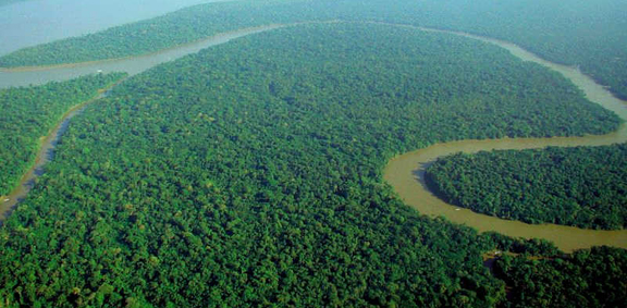 Tędy postanowiono poprowadzić Trakt Drzymały. Widoczna rzeka Rawa wraz z rozlewiskiem. Fot: Catedral Verde