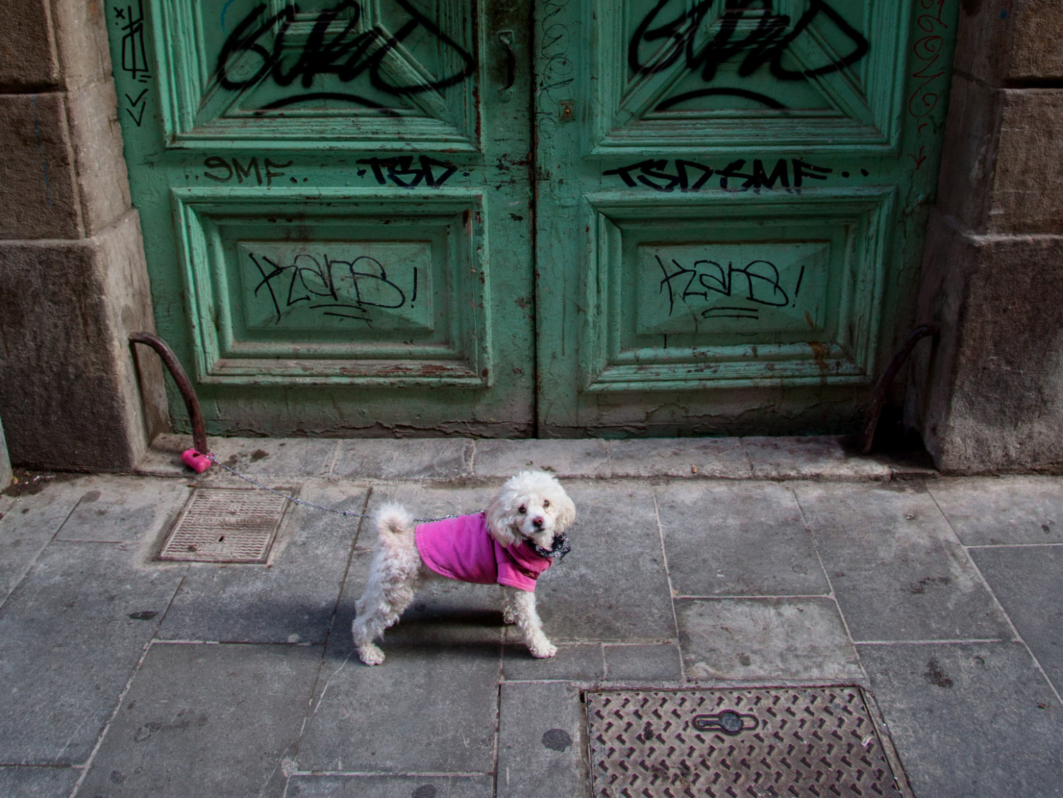 Zaproszenie na spotkanie po plenerze fotograficznym w Barcelonie