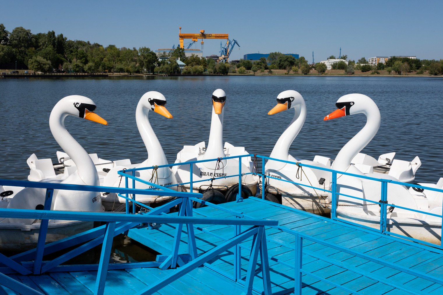 Tulcea - Rumunia - rowery wodne w kształcie łabędzi